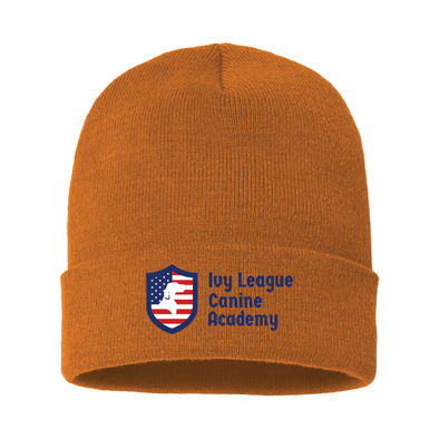 Cuffed Beanie